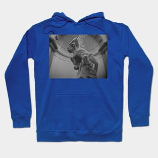 Beautiful painting Hoodie